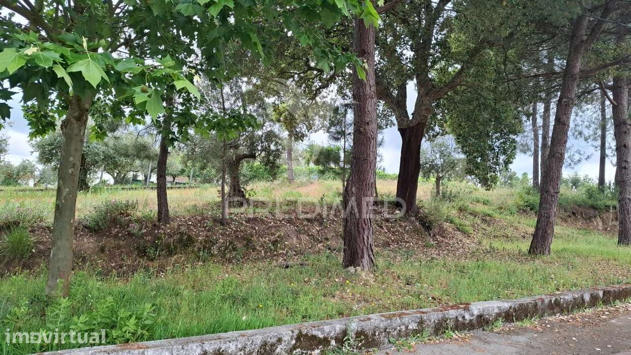 Terreno Rústico com viabilidade construtiva para habitação. - Grande imagem: 5/13
