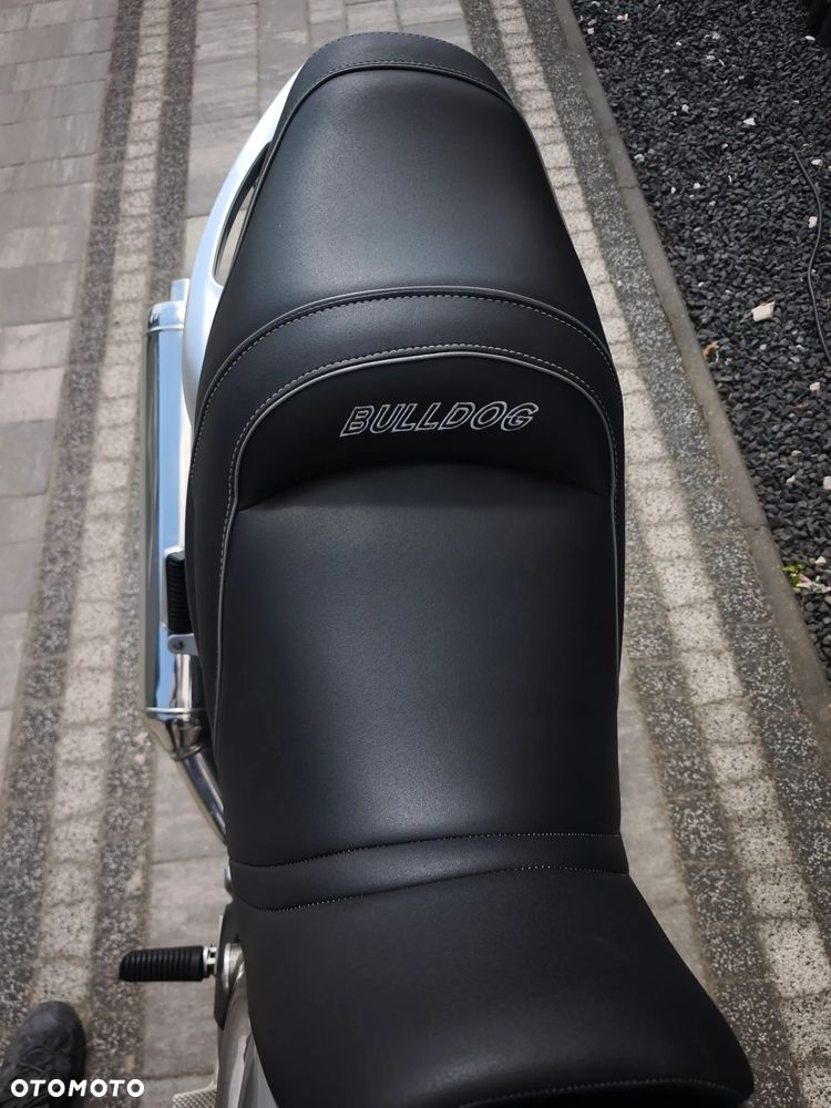 Yamaha Bulldog - 15