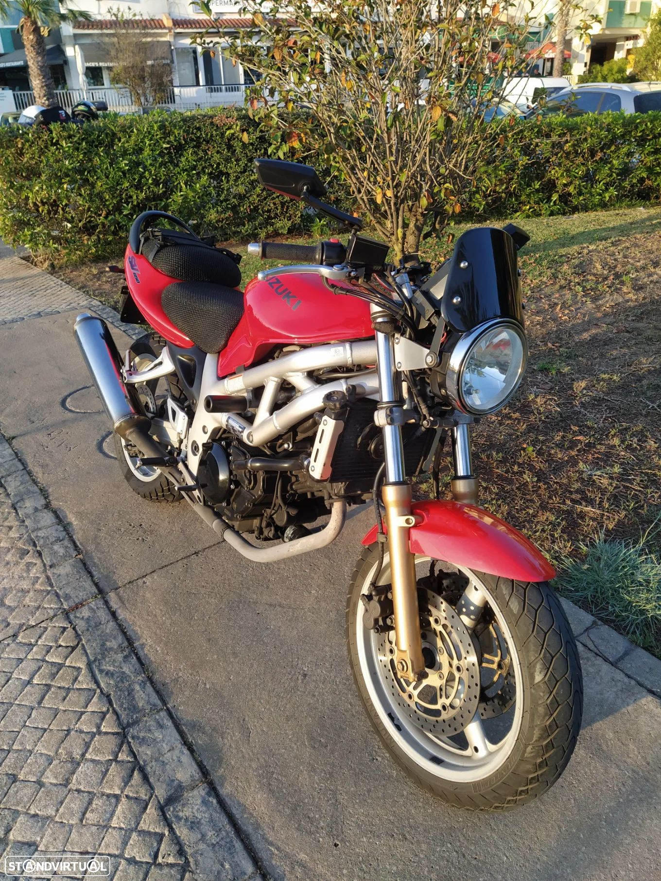 Suzuki SV - 1