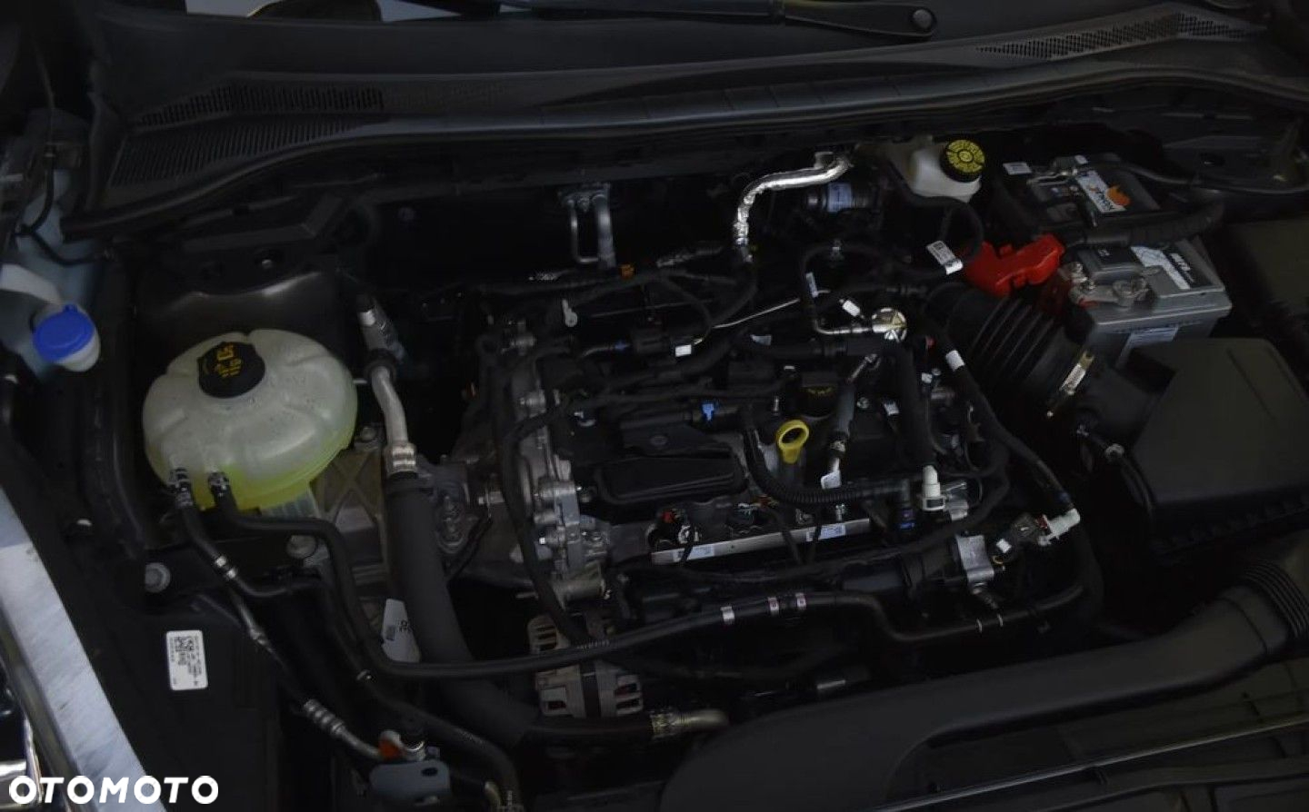 Ford Escape 1.5 EcoBoost AWD SE - 19