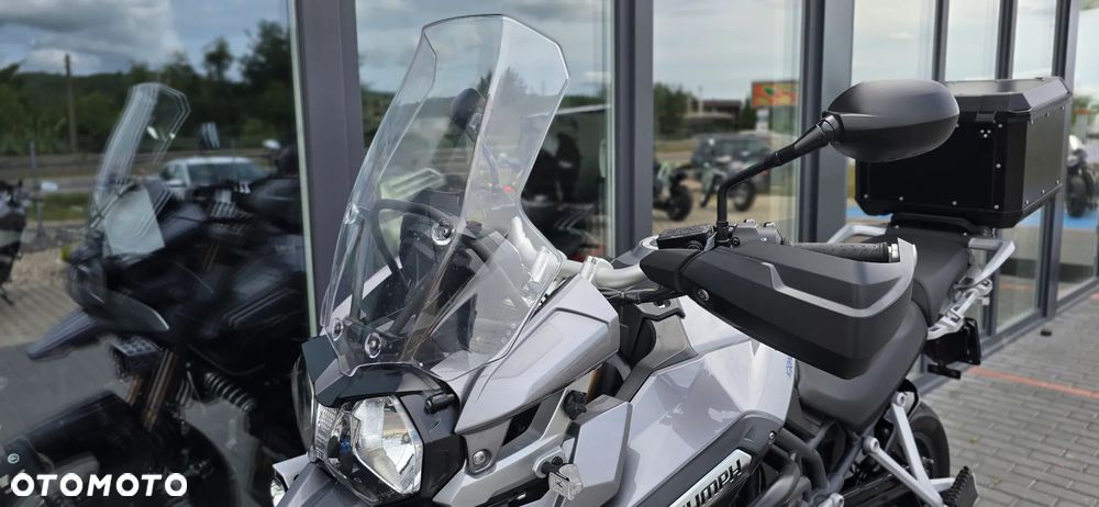 Triumph Tiger - 31