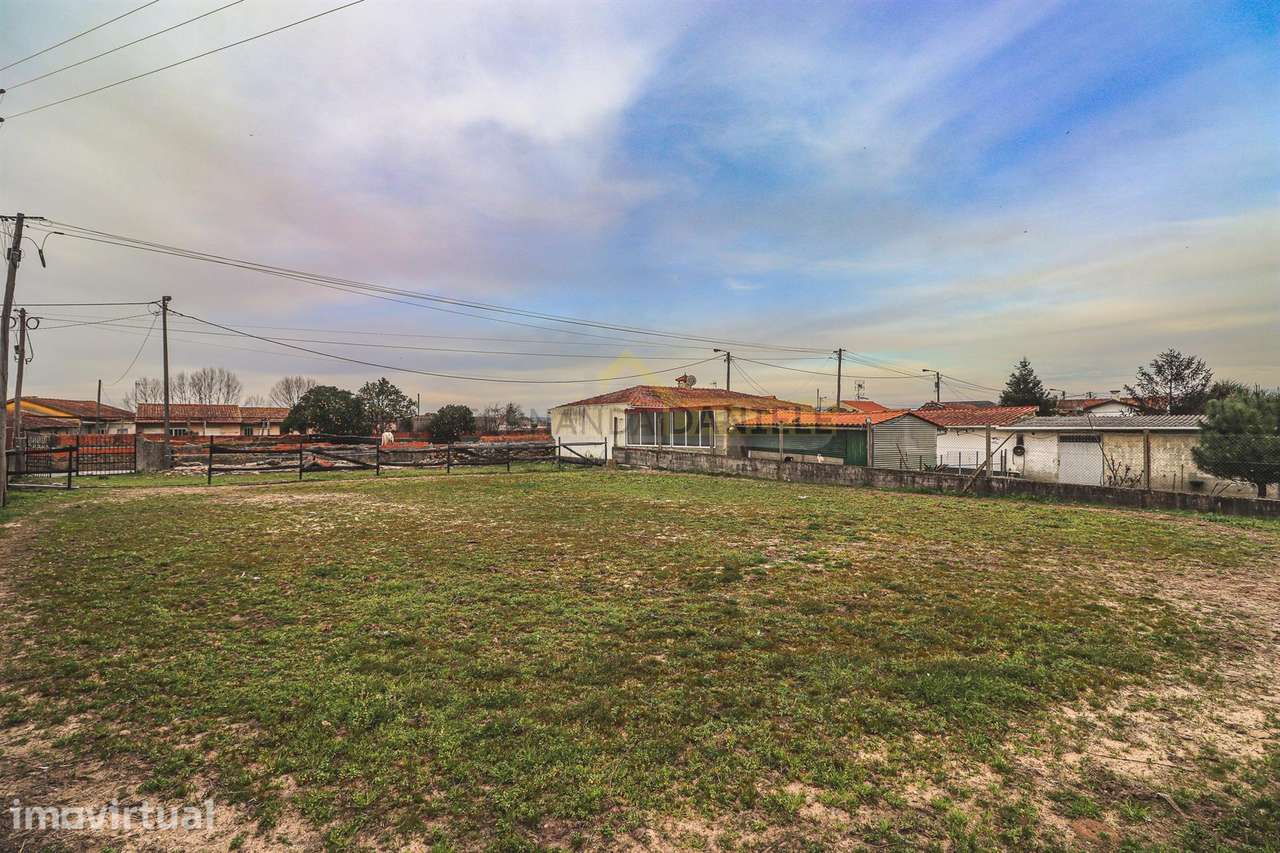 Terreno com 2.500m2 em AVANCA - Grande imagem: 3/27