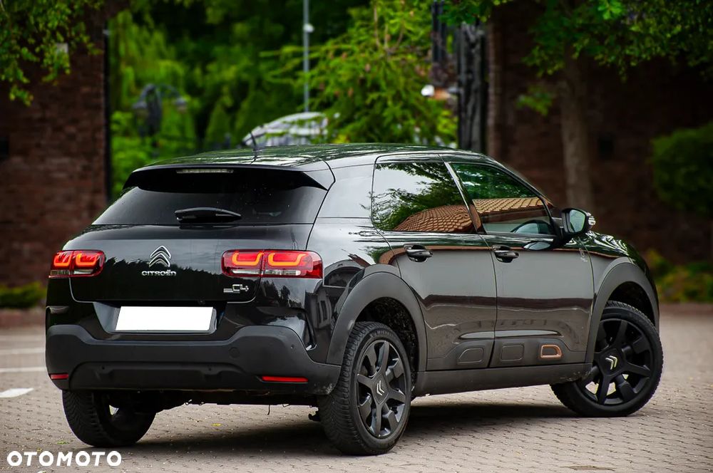Citroën C4 Cactus PureTech 110 Stop&Start Origins - 19