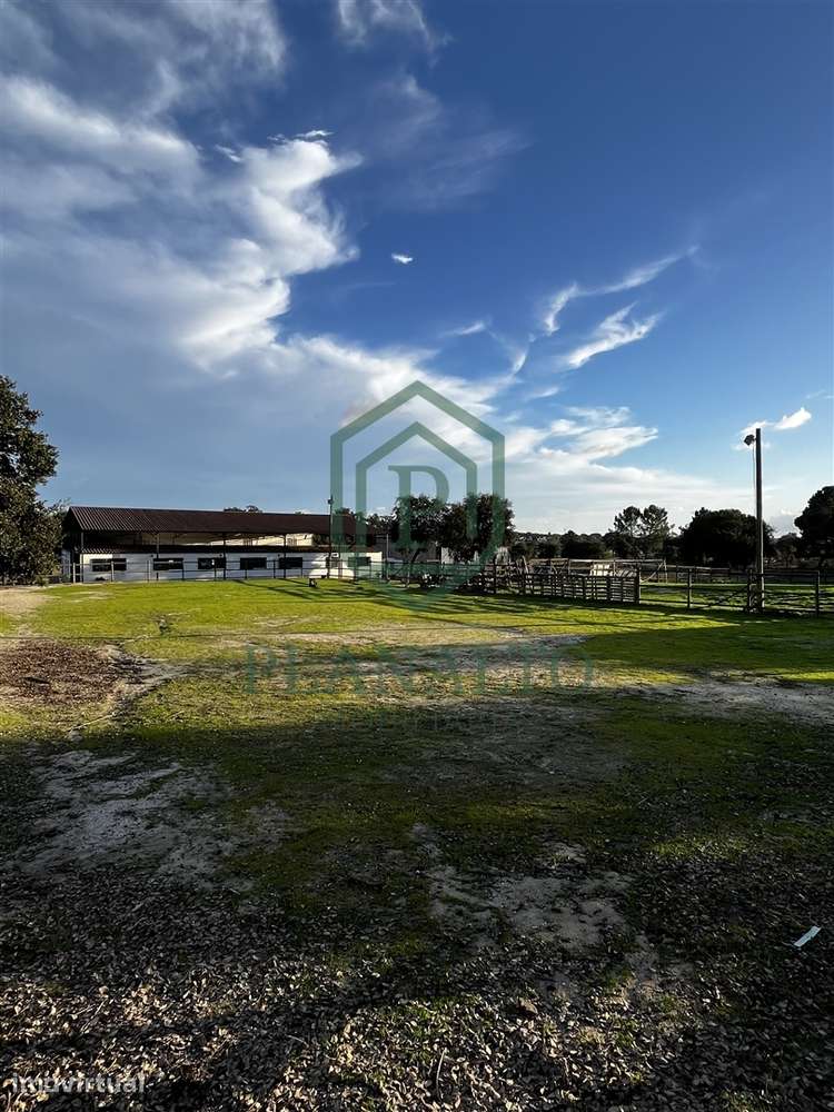 Quinta  Venda em Vendas Novas,Vendas Novas - Grande imagem: 4/16