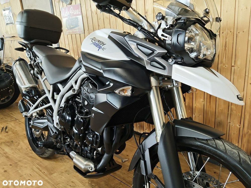 Triumph Tiger - 8