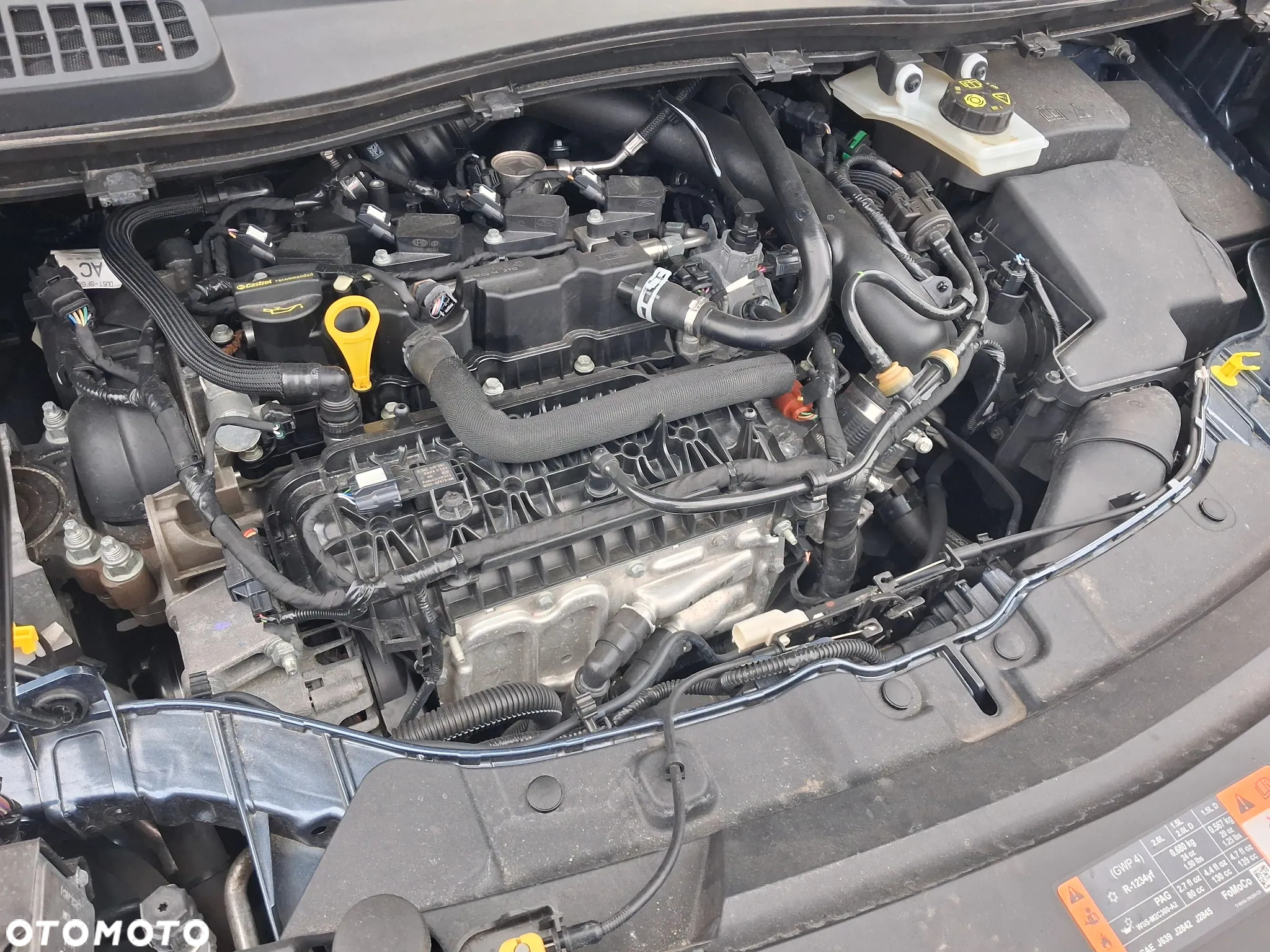 Ford Kuga - 7