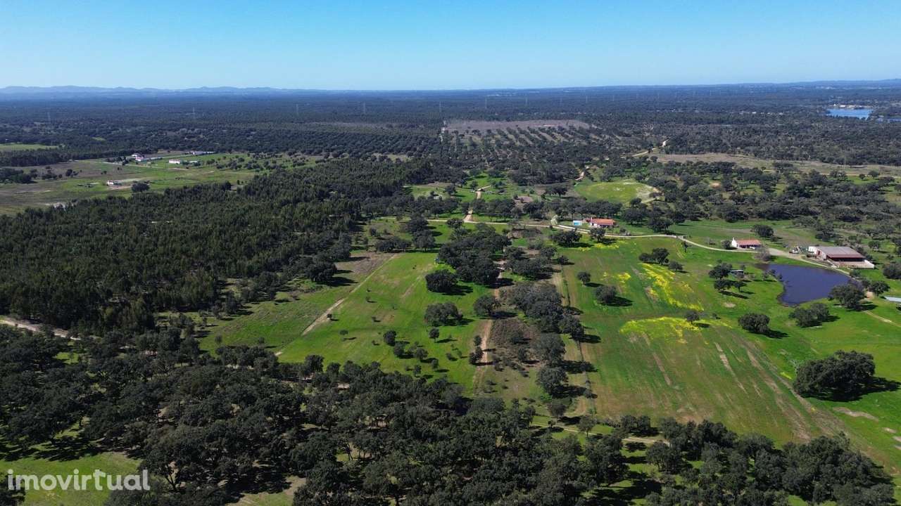 Terreno Rústico com 1,8 ha junto à Barragem de Fonte de Serne - Grande imagem: 3/13