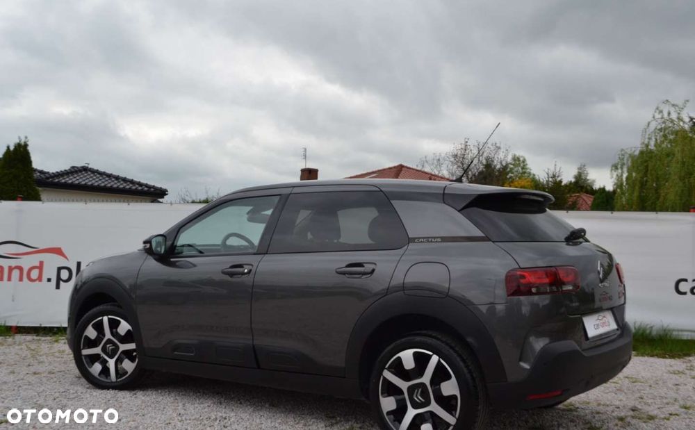 Citroën C4 Cactus - 14