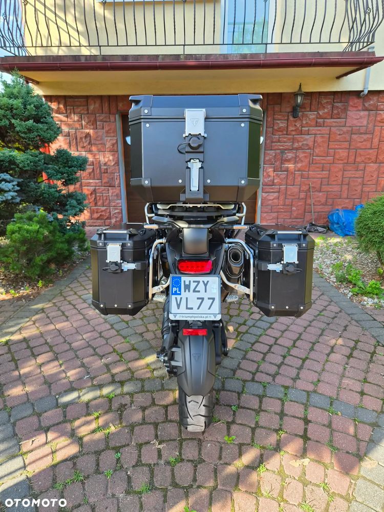 Triumph Tiger - 16