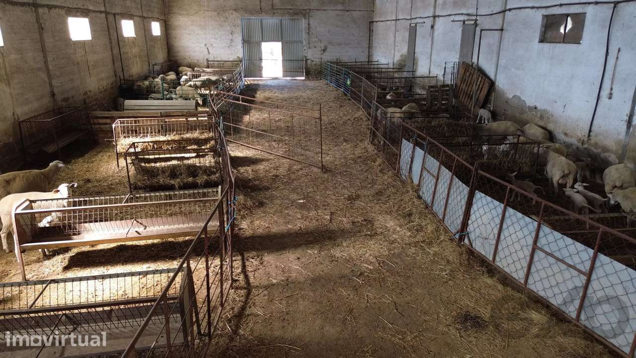 Quinta biológica de 44,8 ha com exploração agrícola ativa + potencial