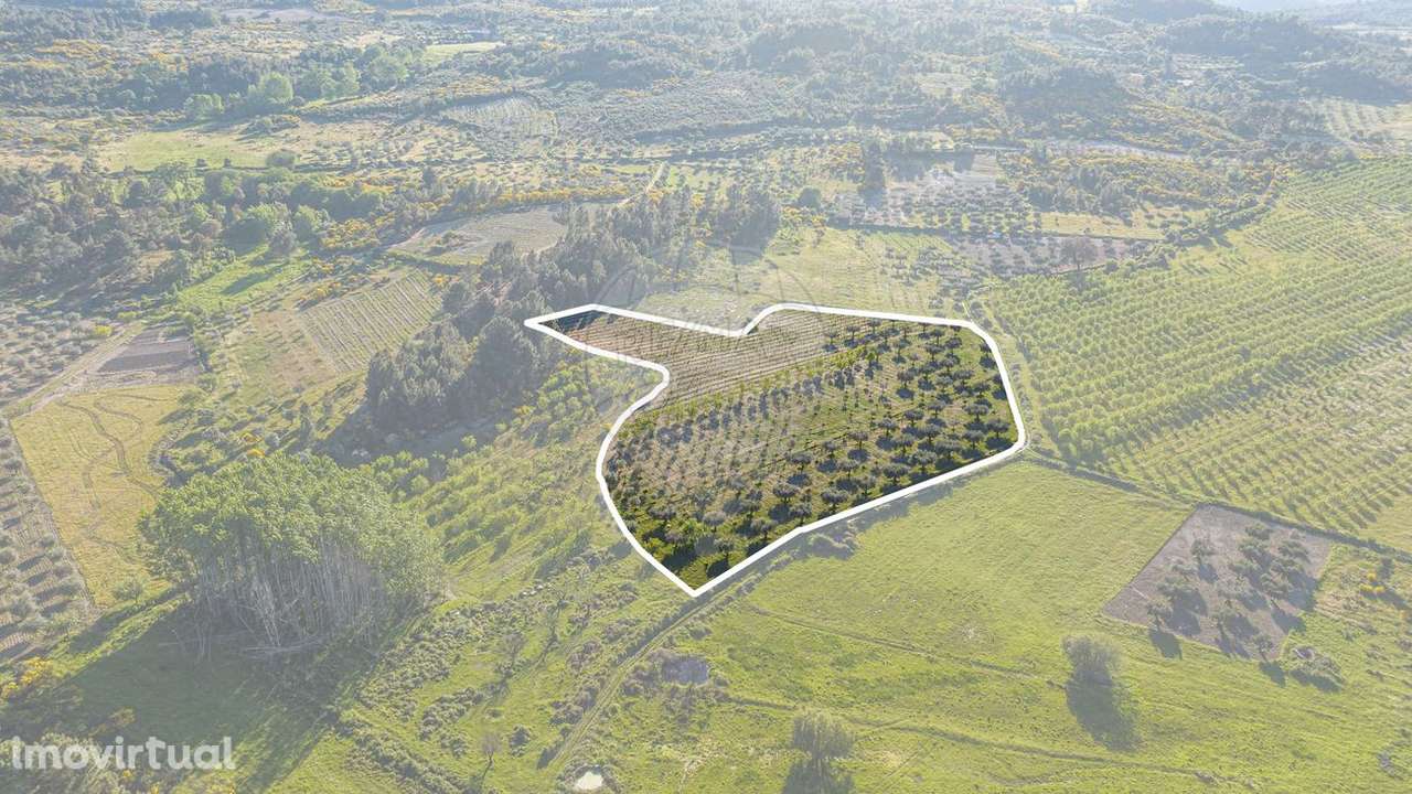 Terreno  para venda - Grande imagem: 3/14