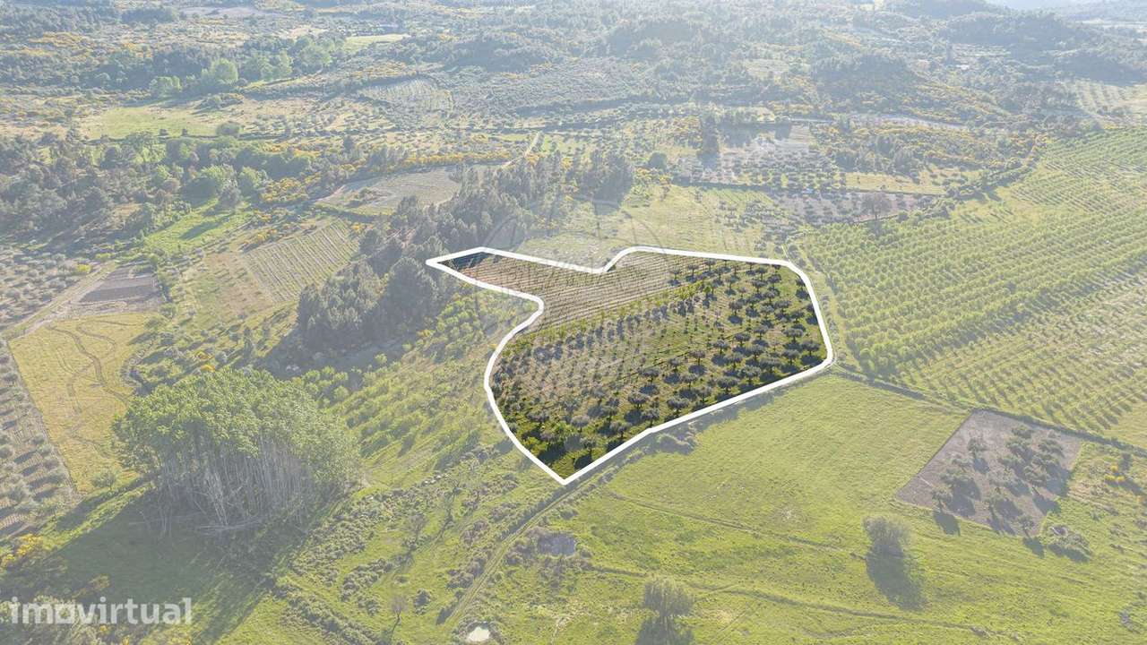Terreno  para venda - Grande imagem: 3/14