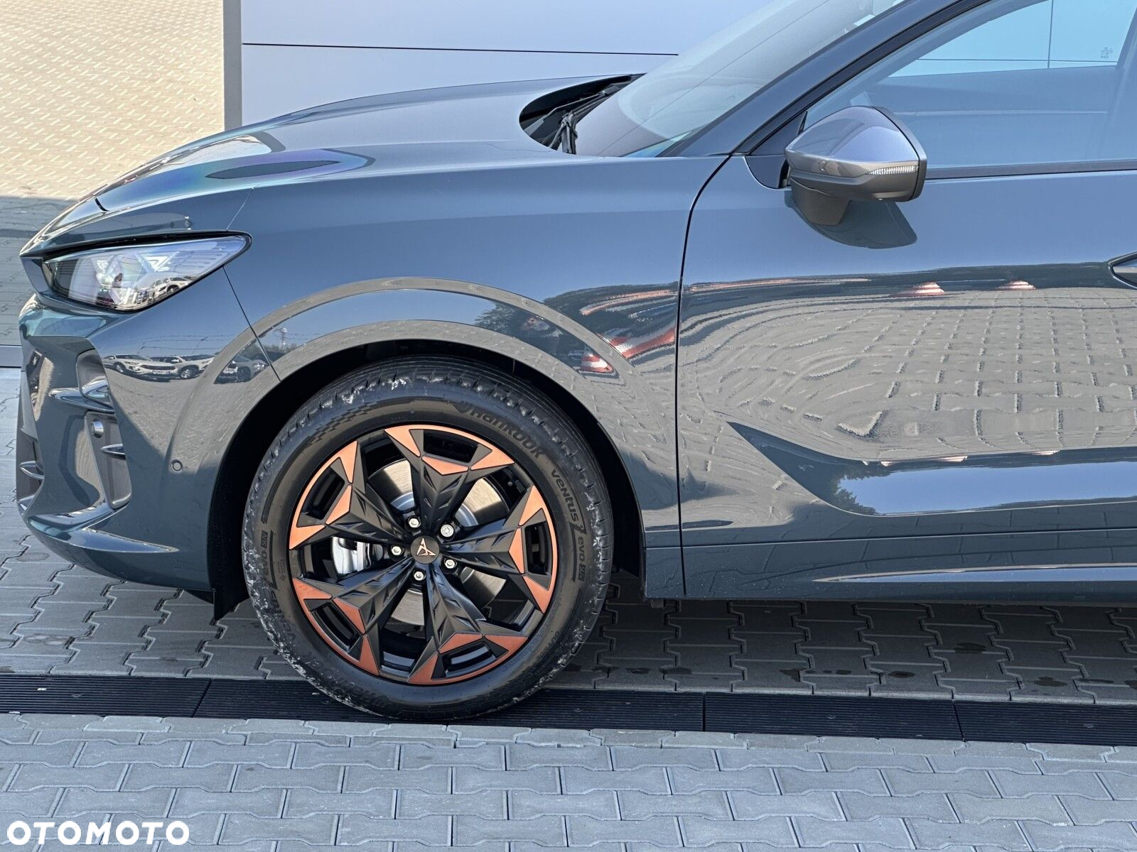 Cupra Terramar - 9