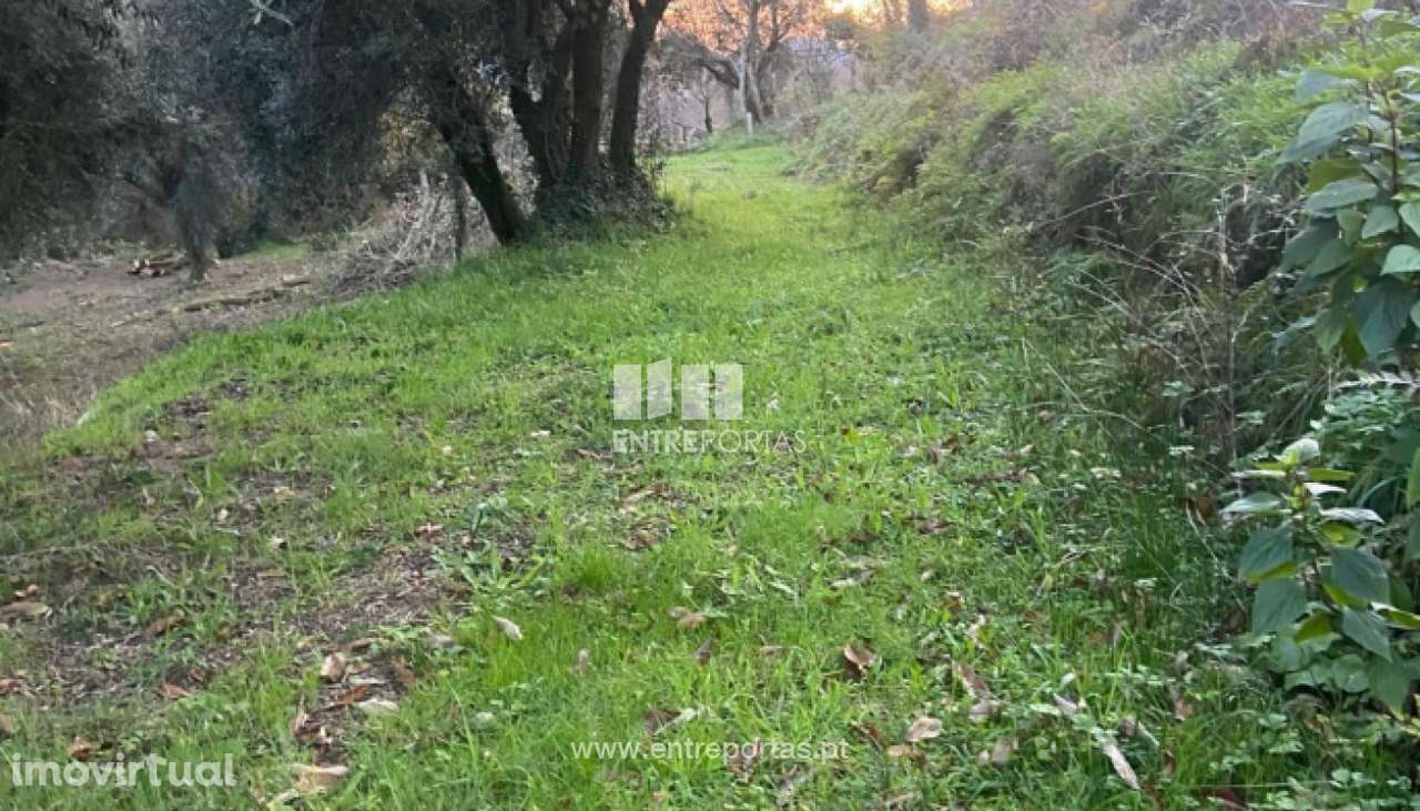 Venda de terreno para construção com 3580m², Cepões, Ponte de Lima - Grande imagem: 2/30