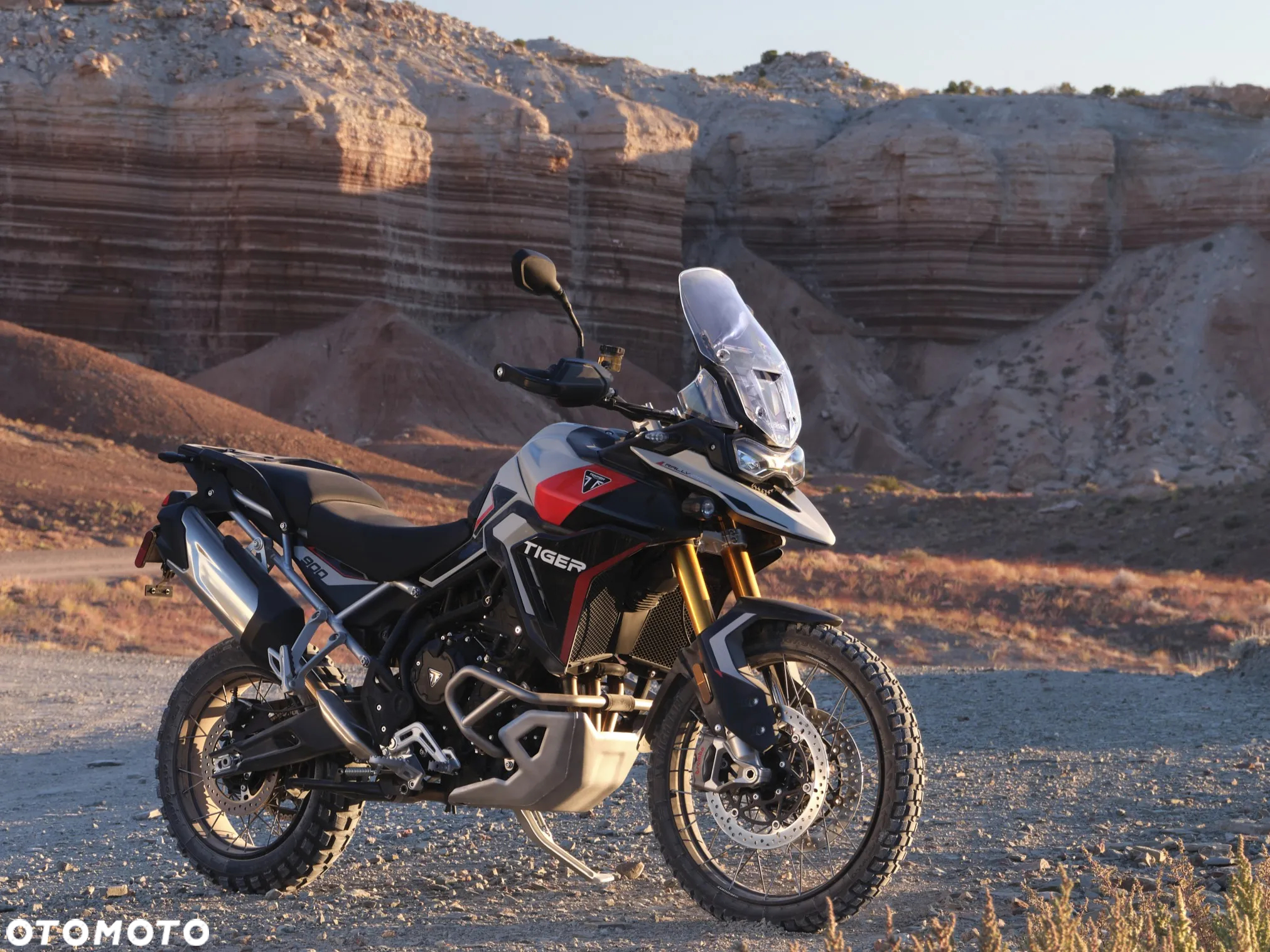Triumph Tiger