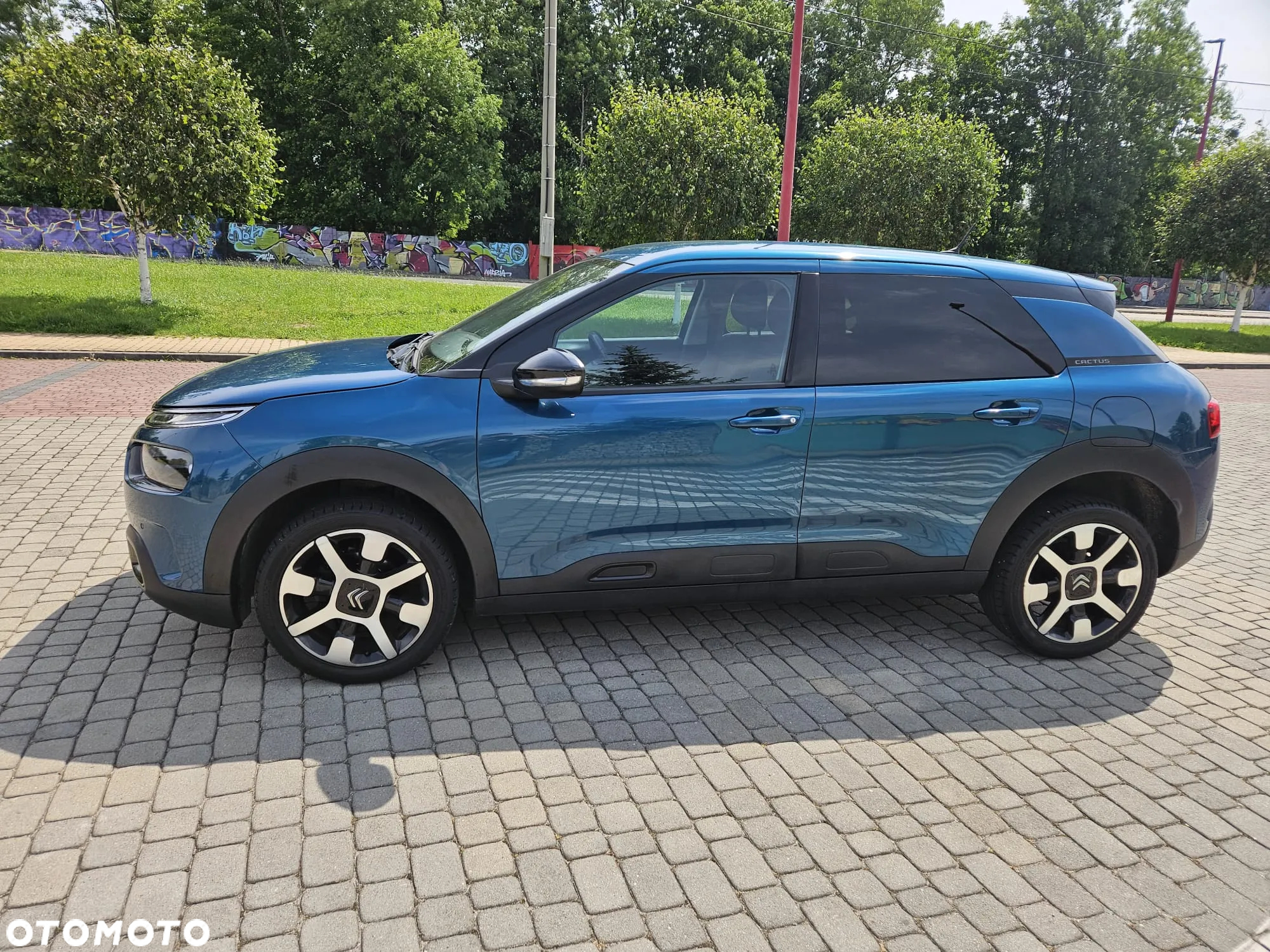 Citroën C4 Cactus 1.5 BlueHDi Feel - 7