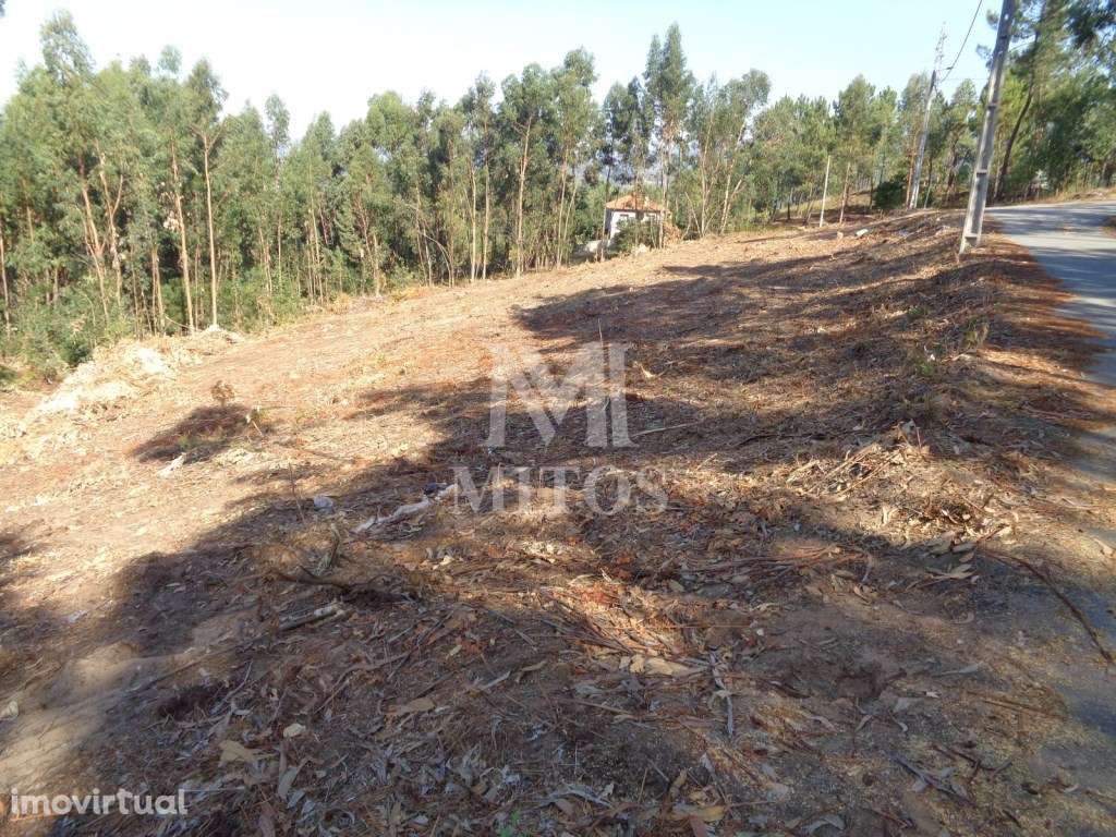 Terreno para venda - Ribeira, Ponte de Lima - Grande imagem: 5/7
