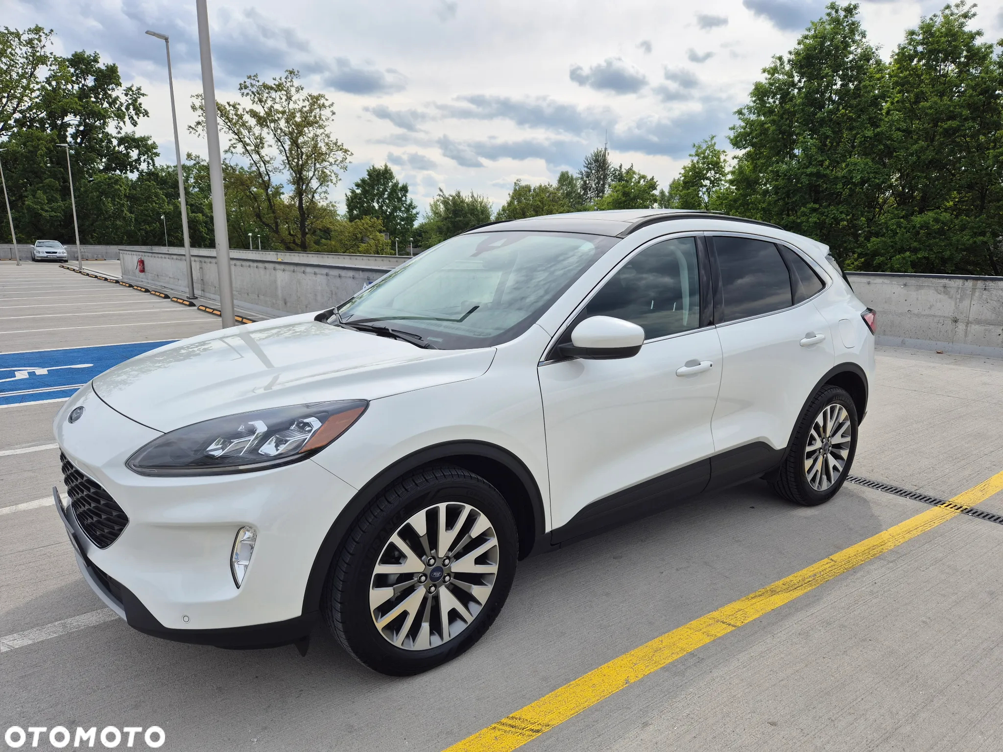 Ford Escape - 10