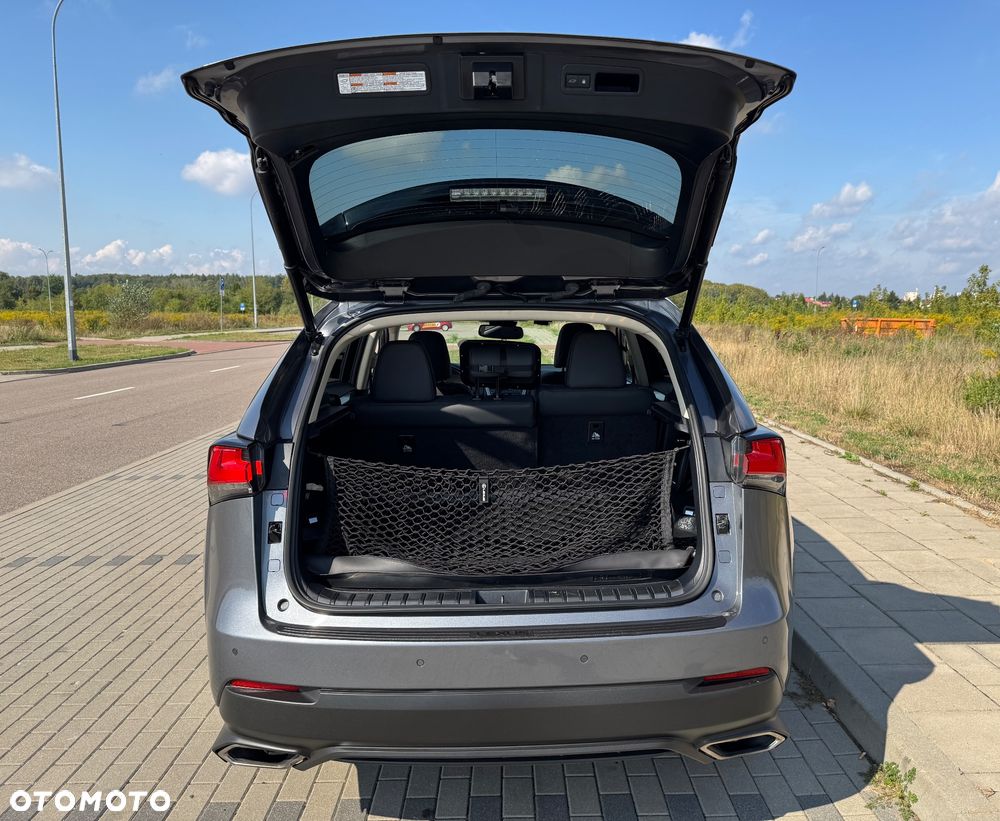 Lexus NX 300 - 23