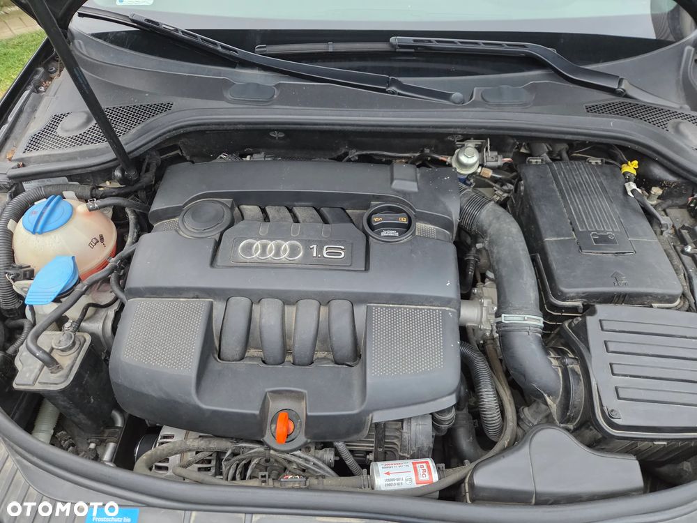 Audi A3 Sportback 1.6 Attraction - 14