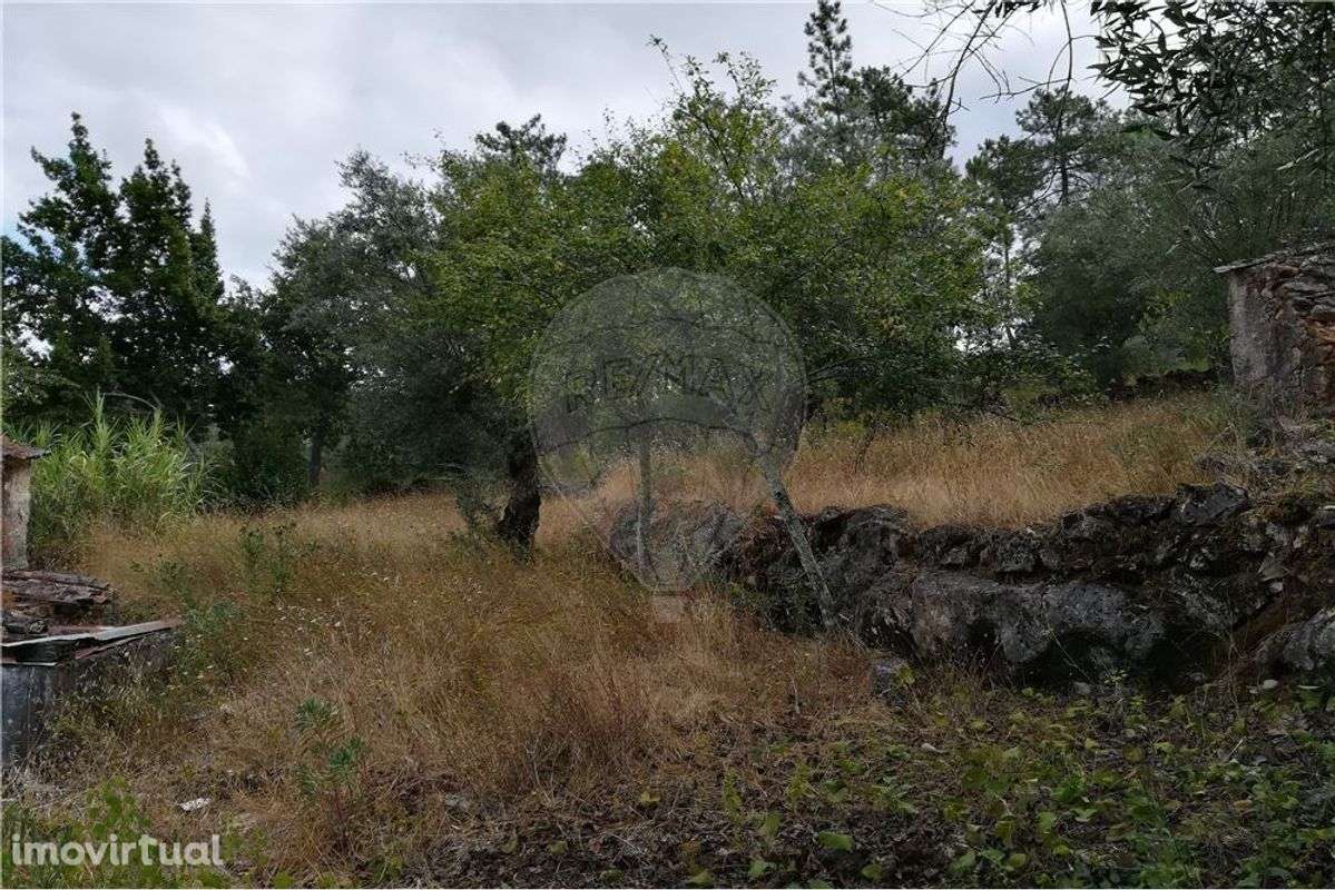 Moradia para recuperação - Grande imagem: 2/12