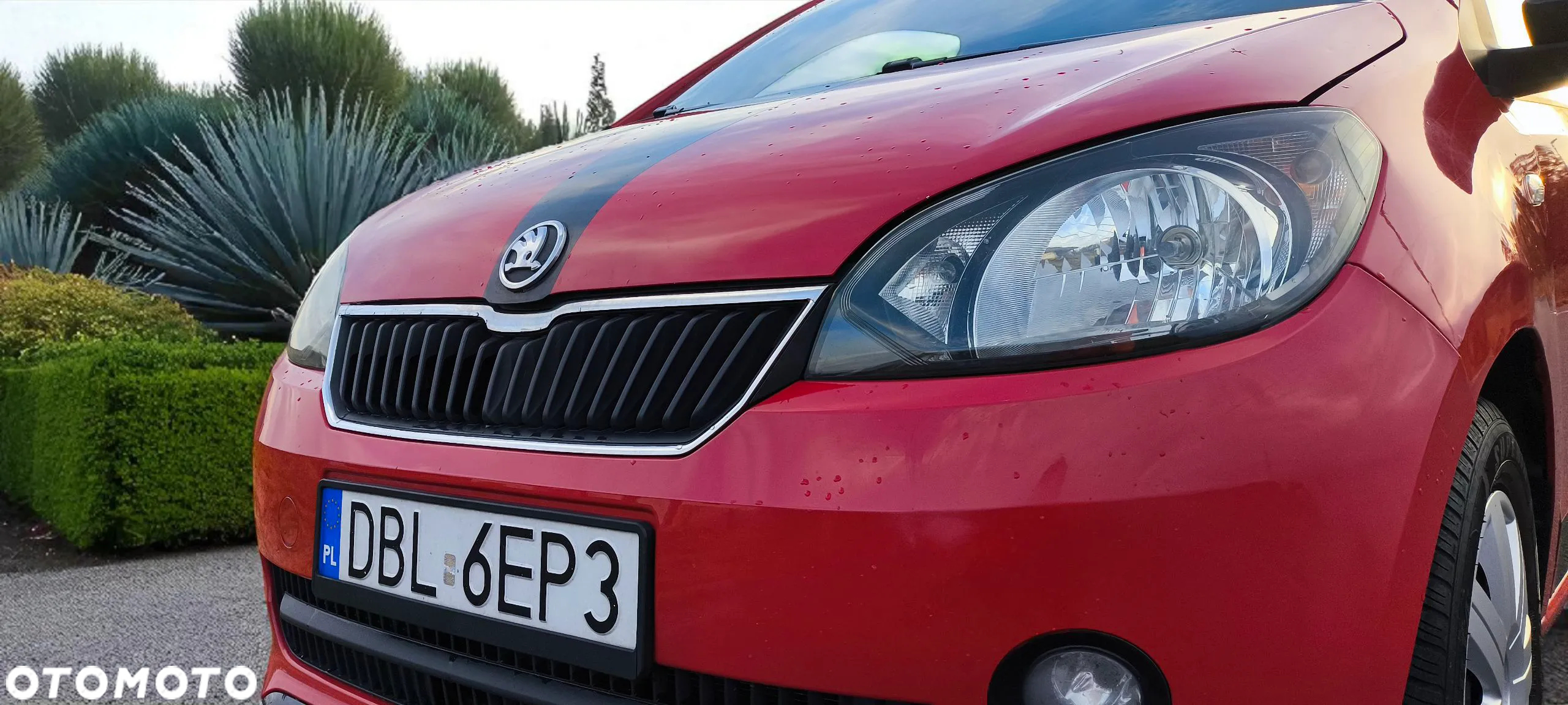 Skoda Citigo - 17