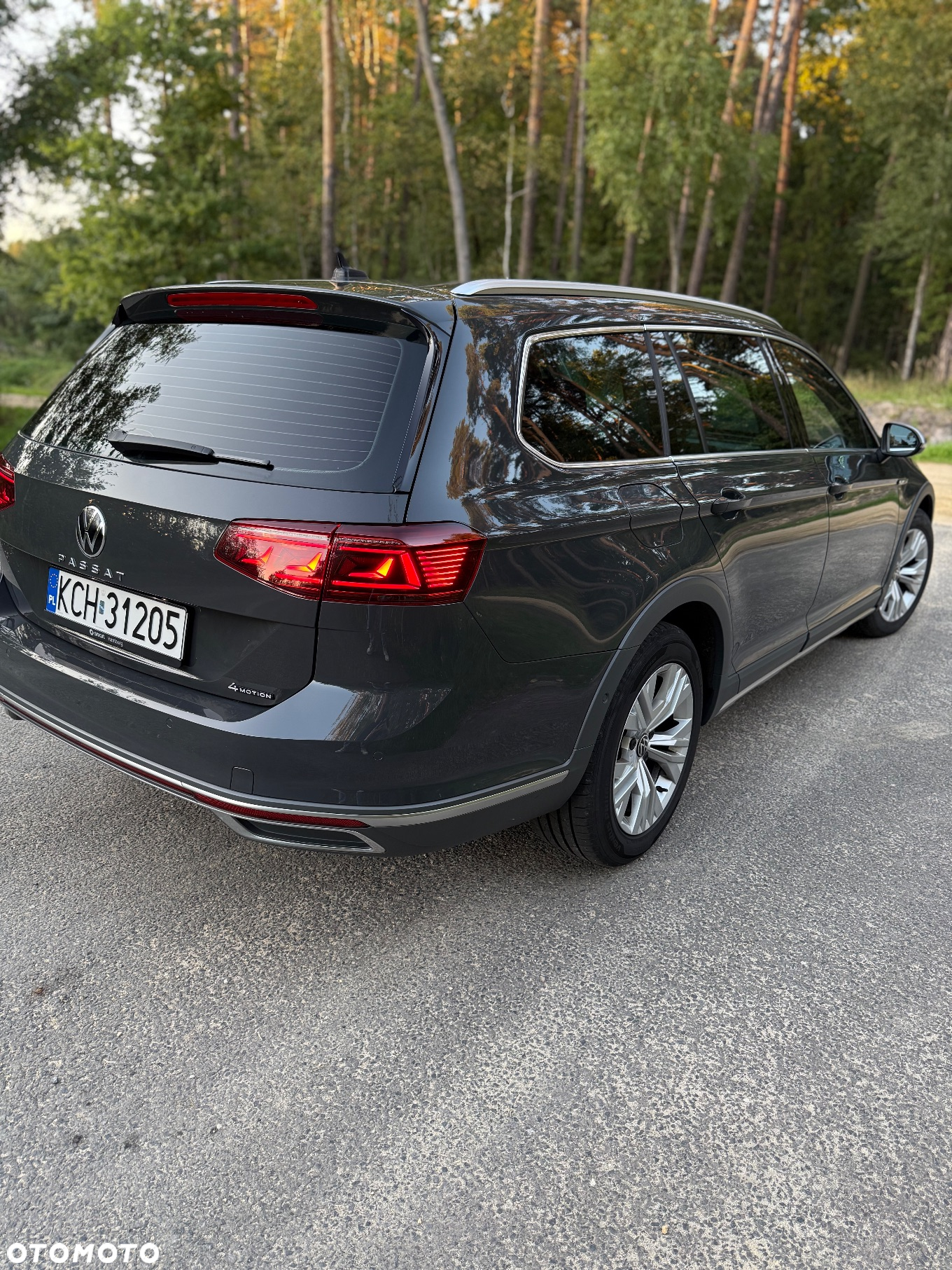 Volkswagen Passat Alltrack 2.0 TDI 4Mot DSG - 6