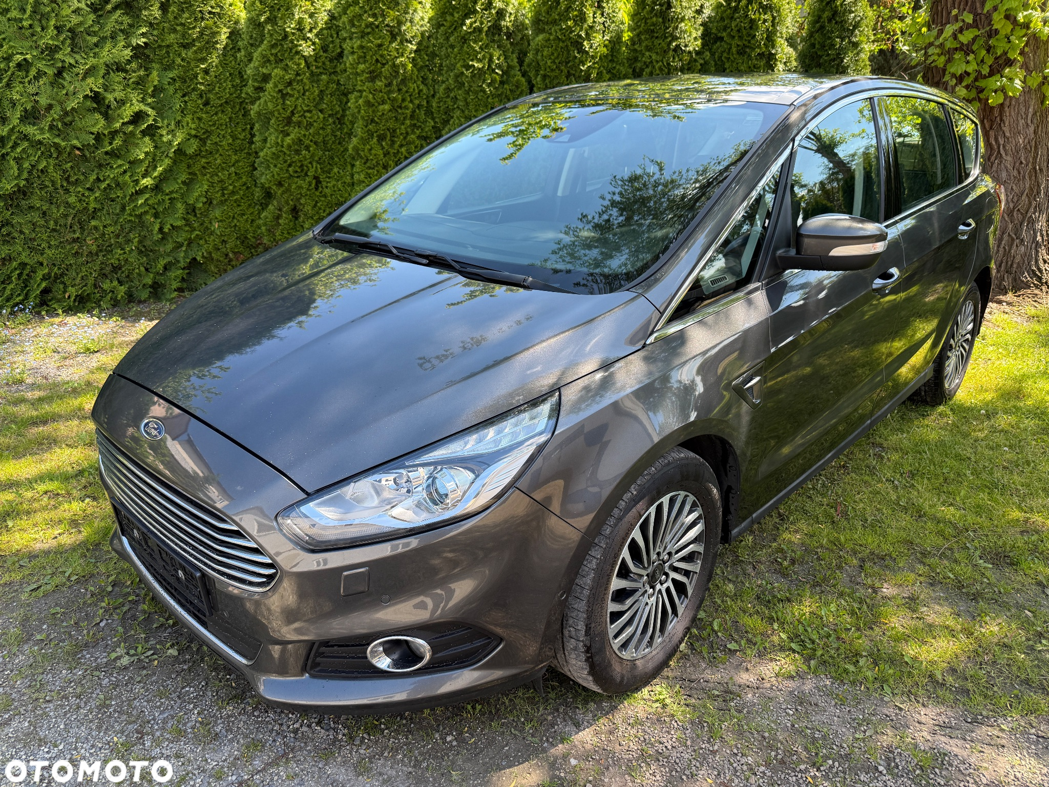 Ford S-Max 2.0 EcoBlue Titanium - 2