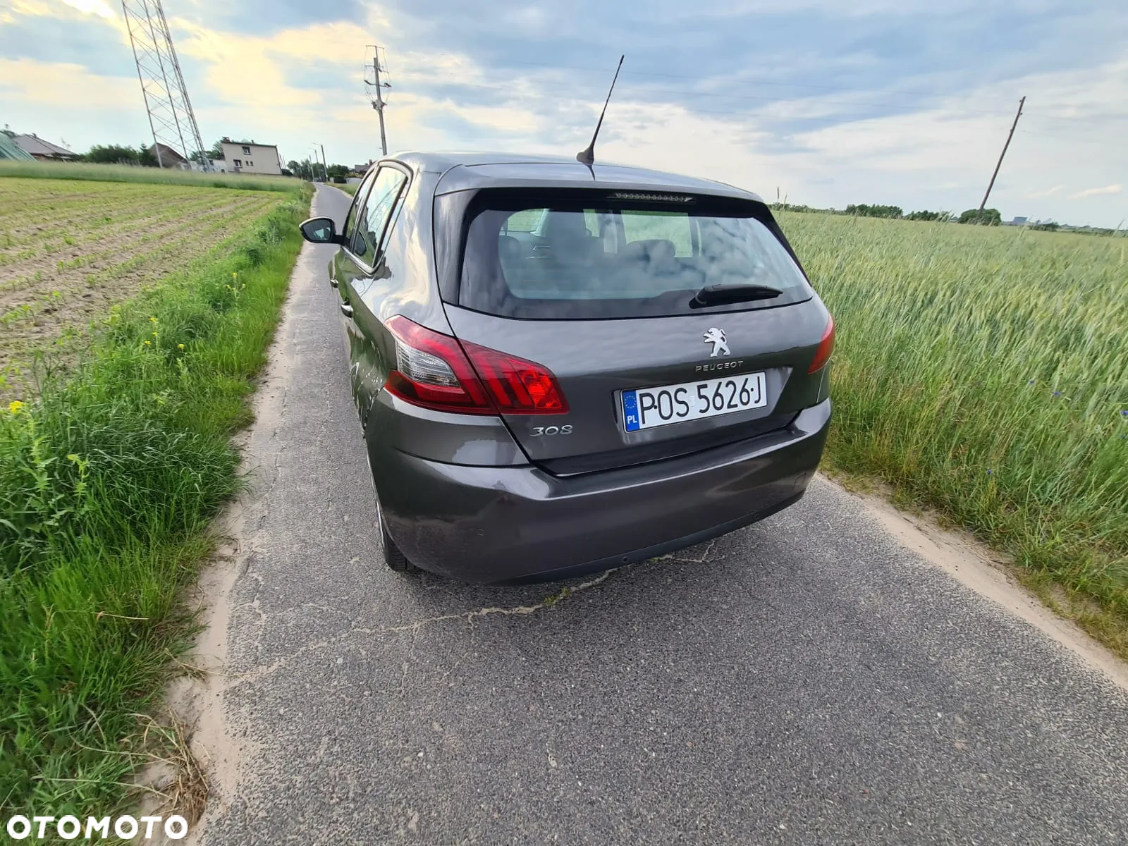 Peugeot 308 1.6 BlueHDi Business Line S&S - 16