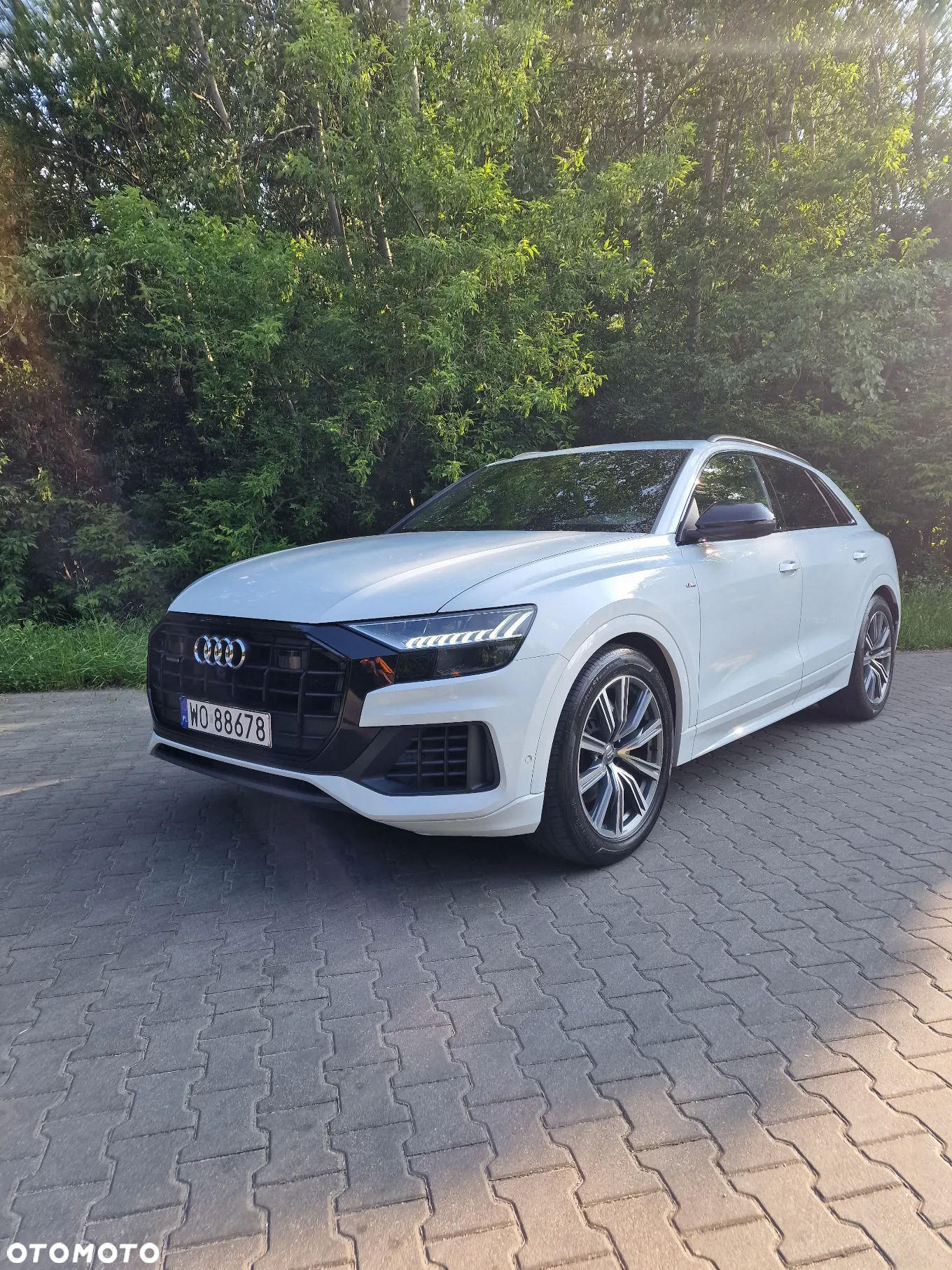 Audi Q8 - 32