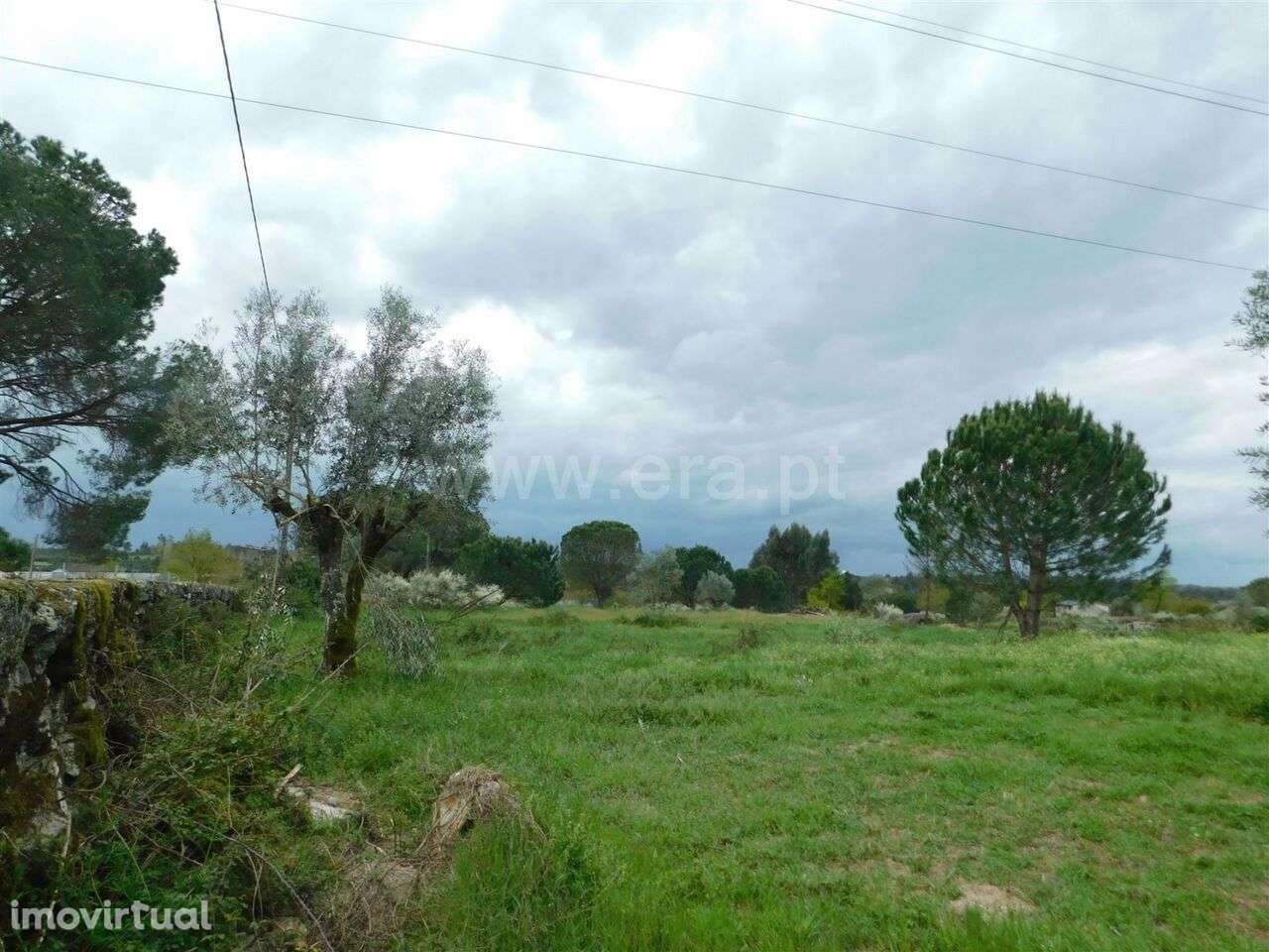 Terreno / Seia, Paranhos - Grande imagem: 4/10