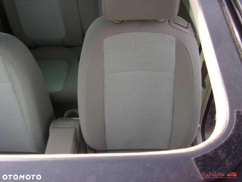 Volkswagen Beetle - 34