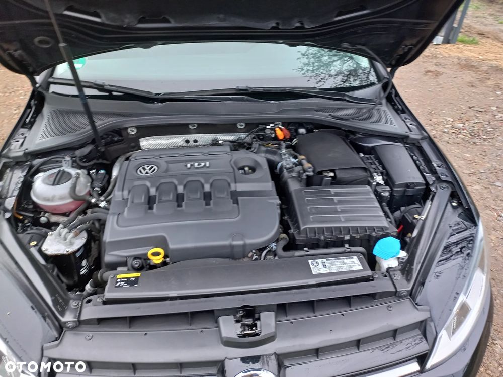 Volkswagen Golf - 19