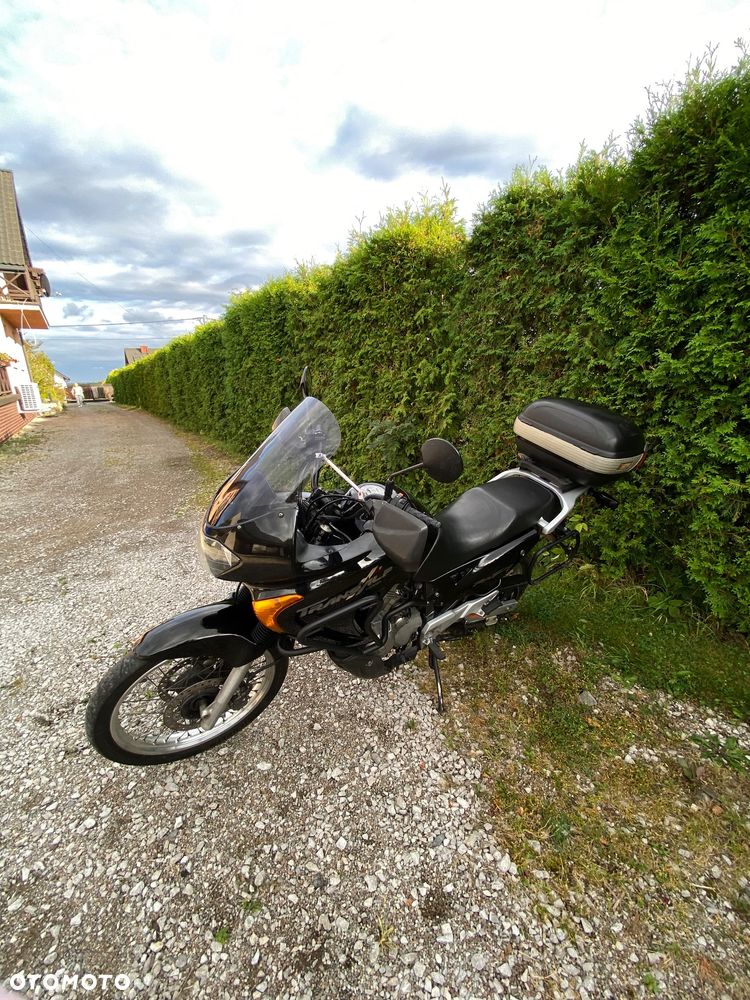 Honda Transalp - 8