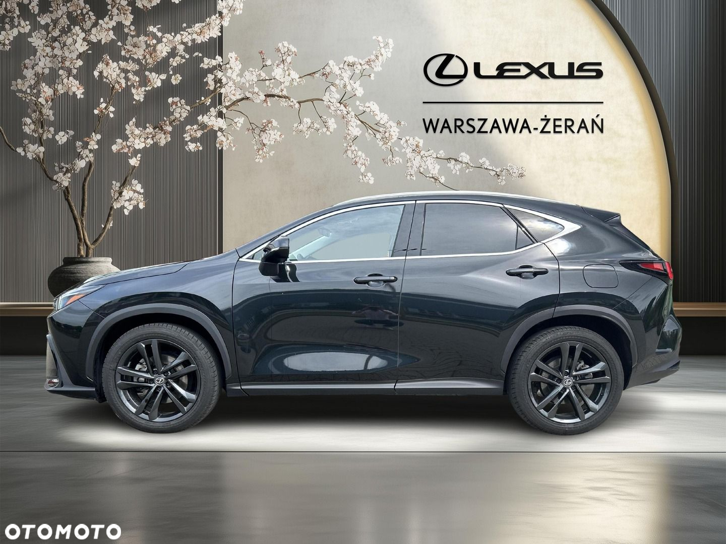Lexus NX - 4
