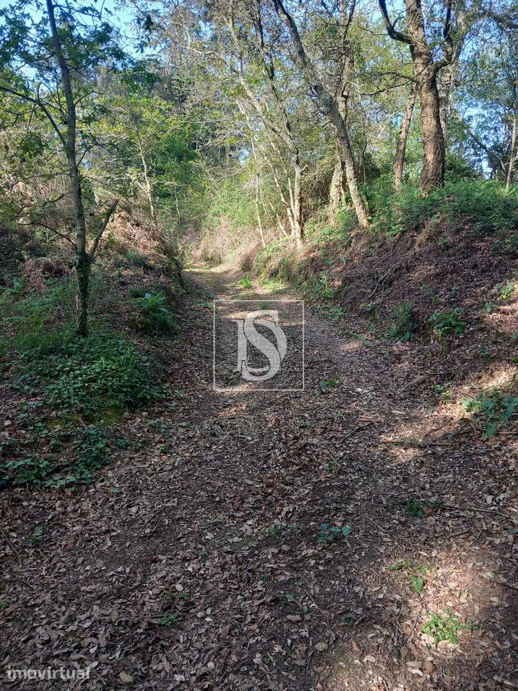 Terreno  Venda em Antas,Esposende - Grande imagem: 2/9