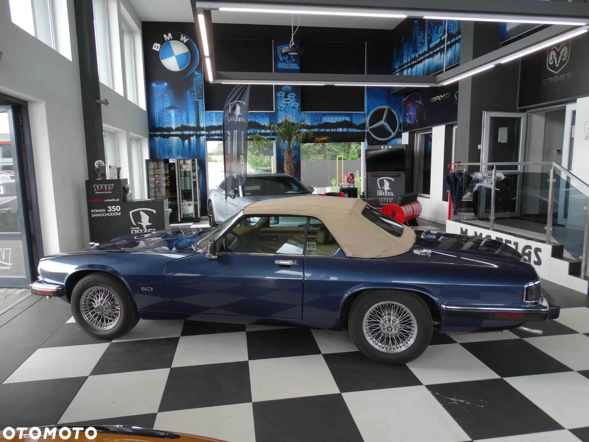 Jaguar XJ XJ12 5.3i - 8