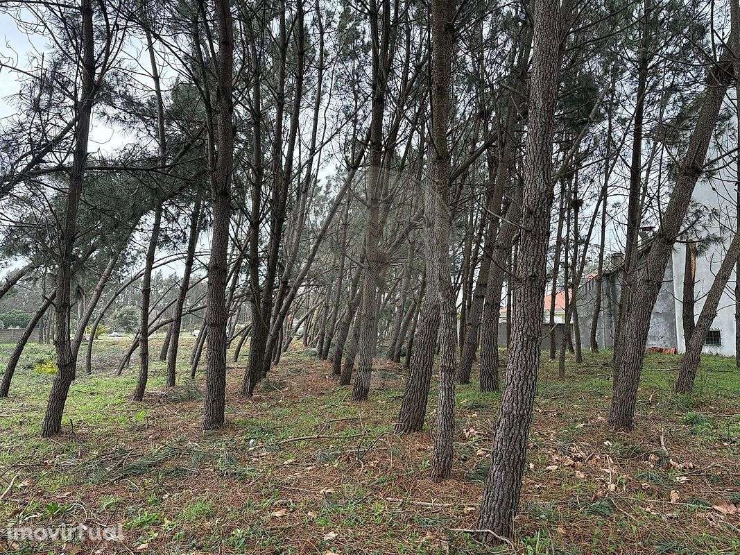 Terreno  para venda - Grande imagem: 5/10