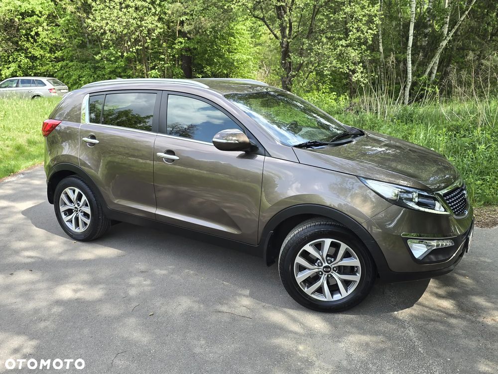 Kia Sportage 1.6 GDI Business Line 2WD - 24