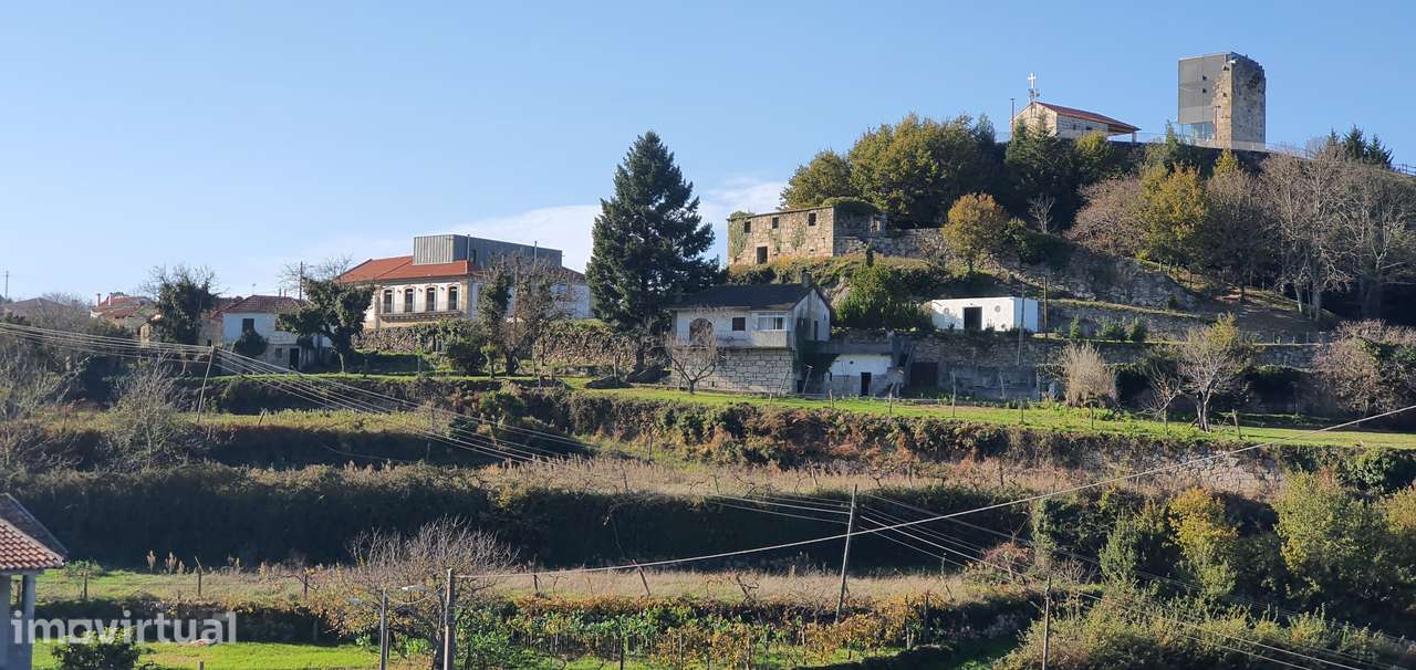 Quinta 2500m2 com casa principal, casa secundária e uma adega secular - Grande imagem: 2/9