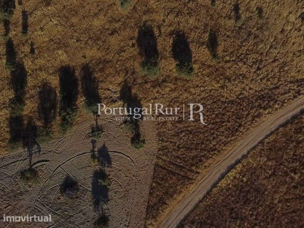 Terreno urbano com 8 ha e vista para o Castelo de Monsaraz, Alentejo - Grande imagem: 3/3