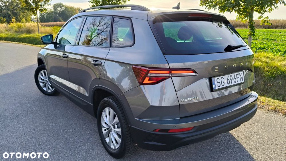Skoda Karoq - 7