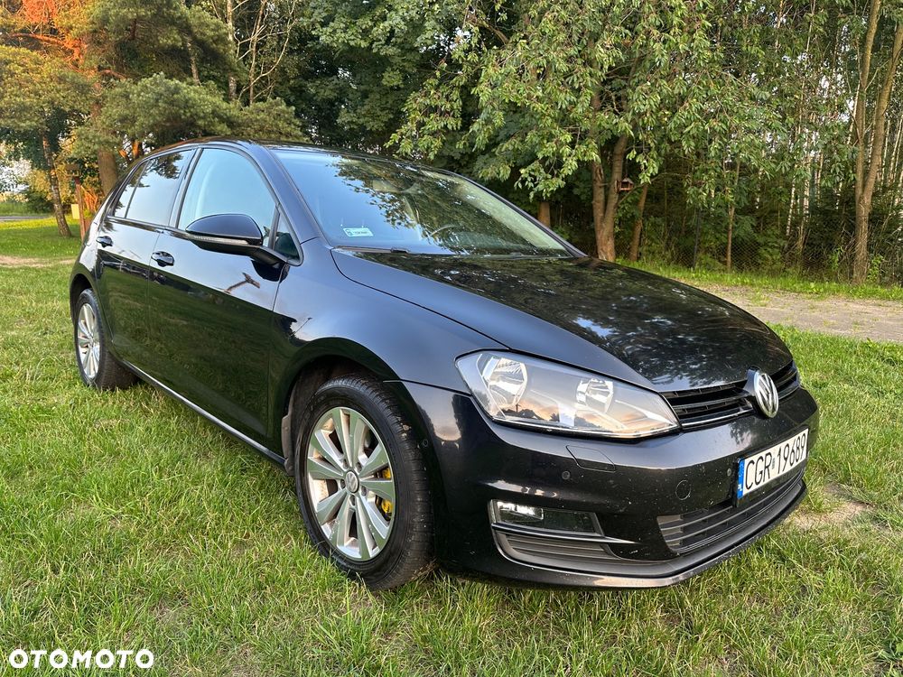 Volkswagen Golf - 16