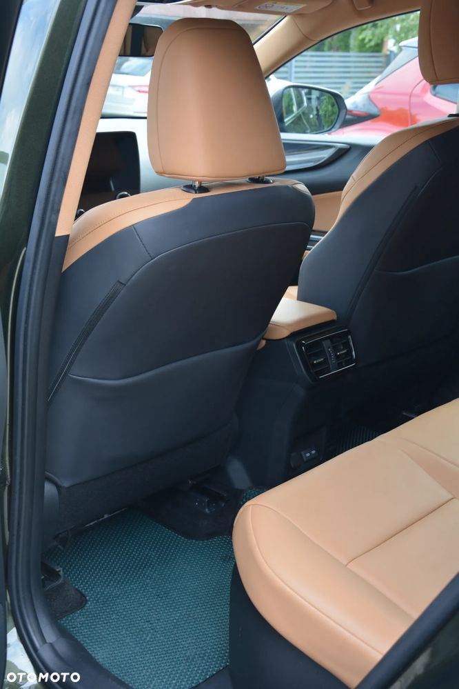 Lexus NX - 6