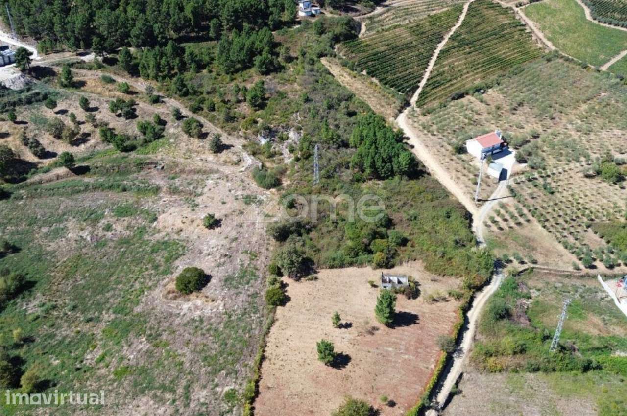 Terreno para Construção – 16.050 m² - Grande imagem: 3/13