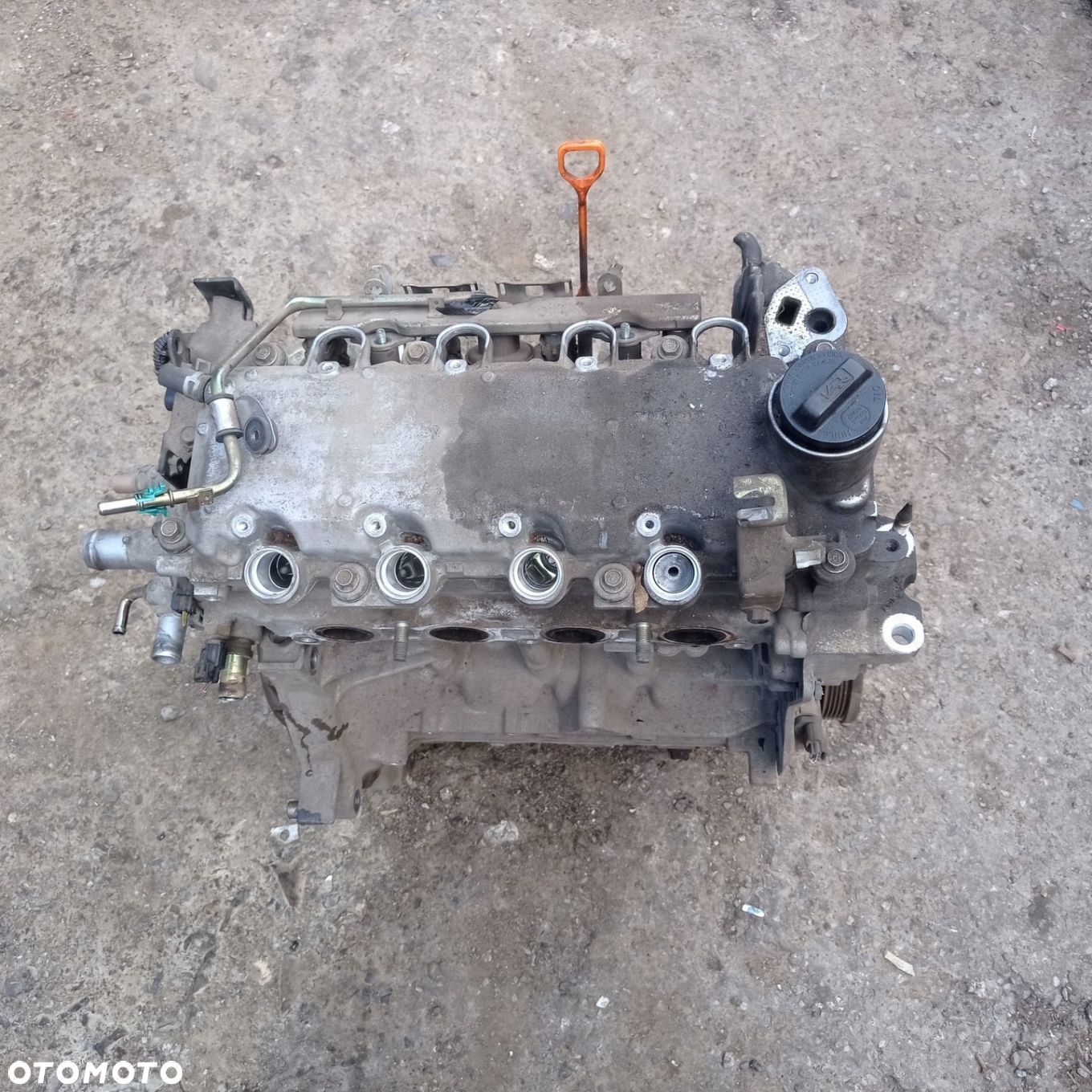 Silnik Honda Jazz II 1.3 VVTi L13A1 - 2