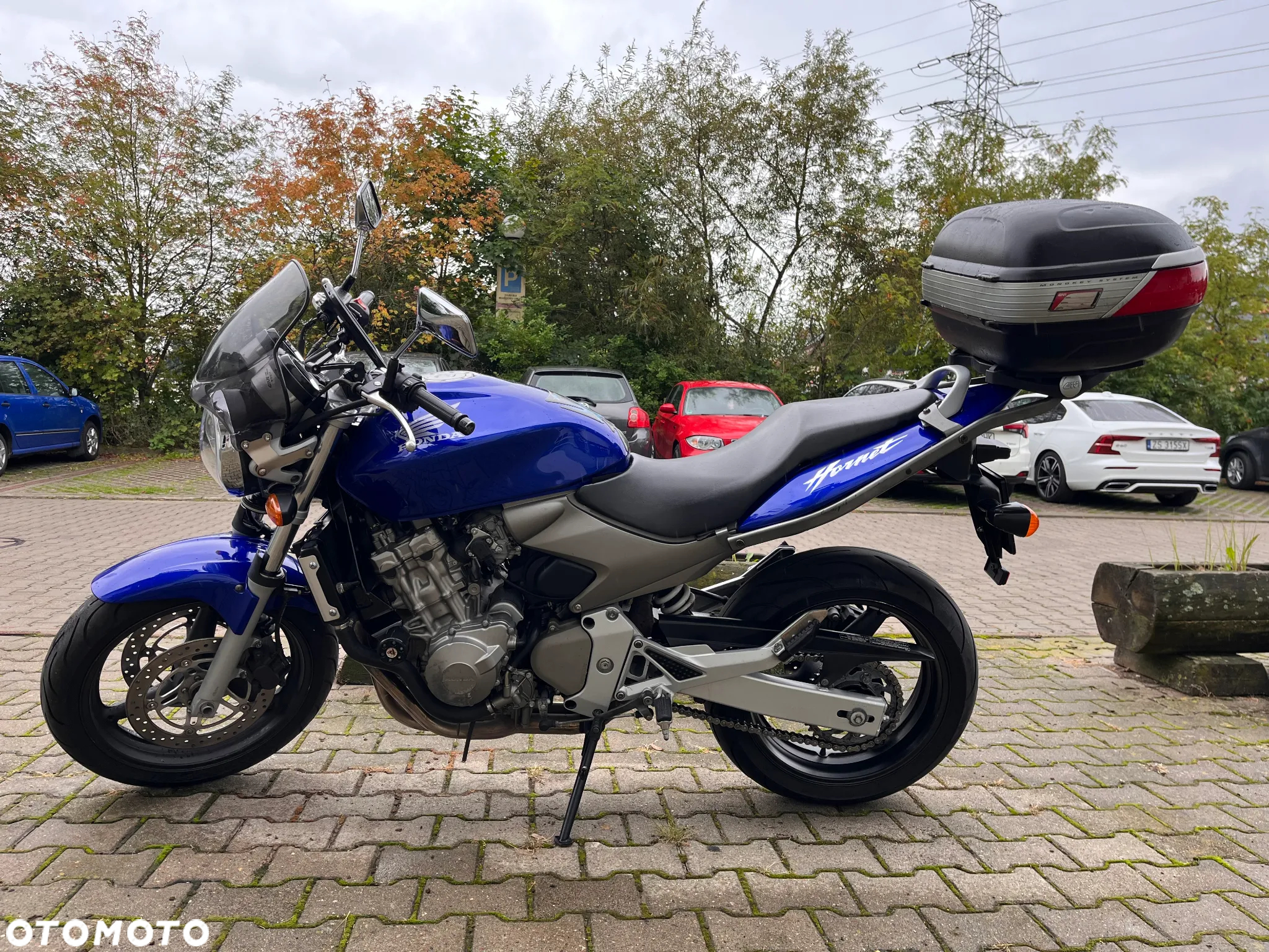 Honda Hornet - 7