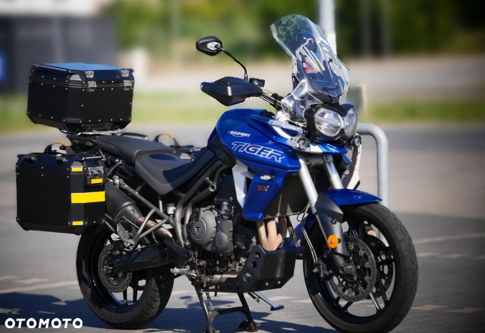 Triumph Tiger - 1