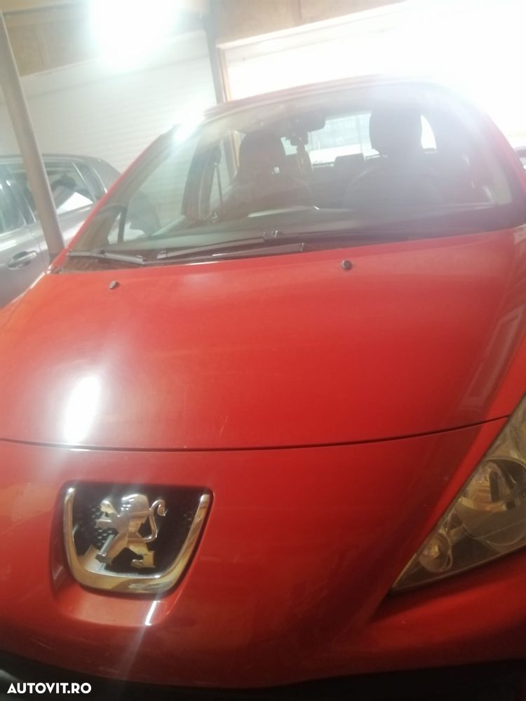 Peugeot 207 - 9