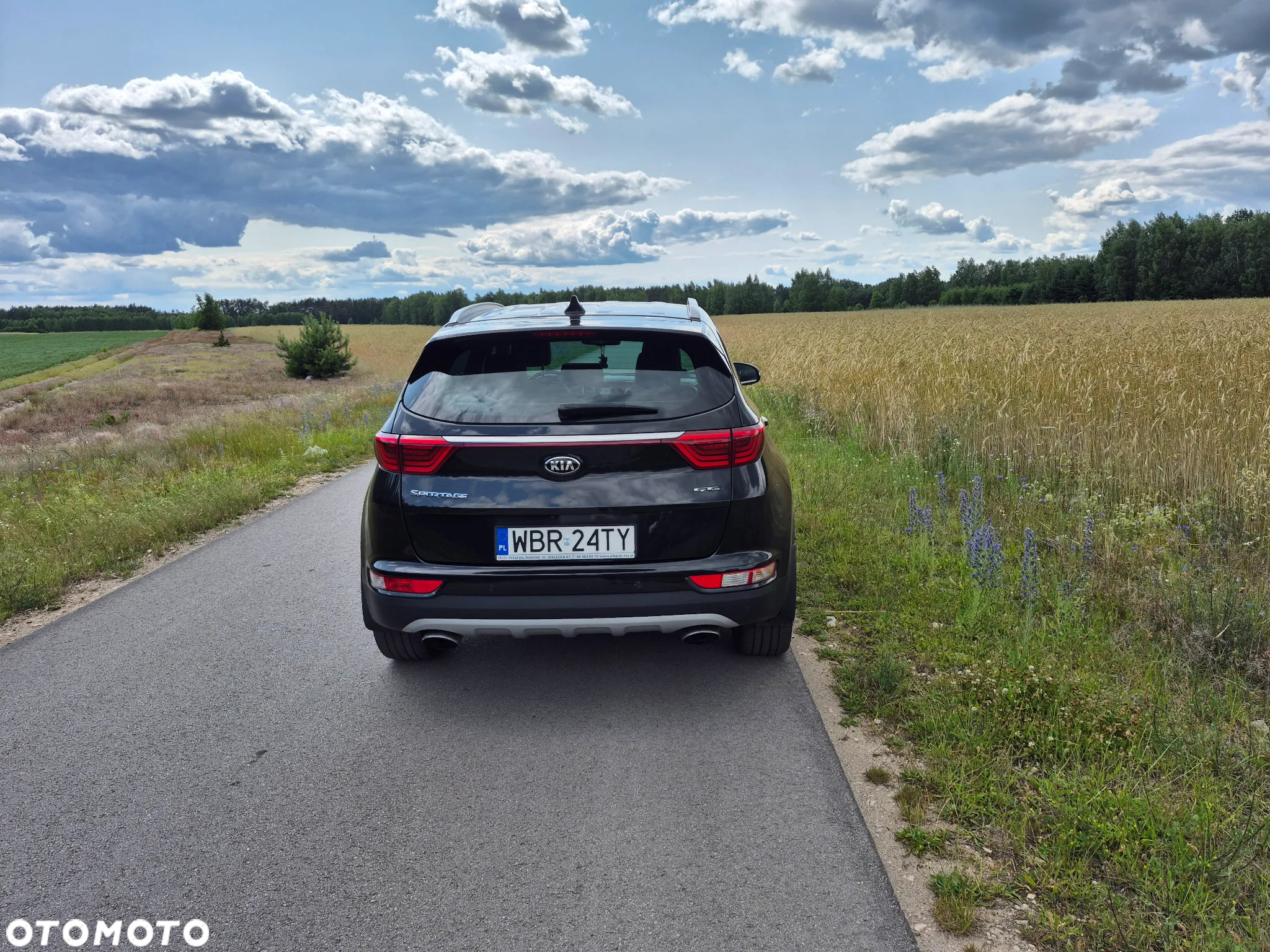 Kia Sportage 1.6 T-GDI AWD GT LINE - 3